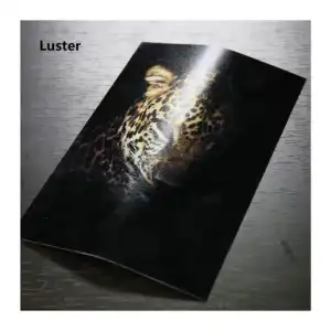 Rollo de papel fotográfico lustre/satinado miniatura 3
